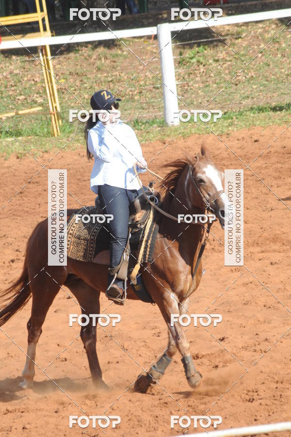 Buy your photos of the eventTEAM PENNING  GRANDE FINAL CAMARU on Fotop
