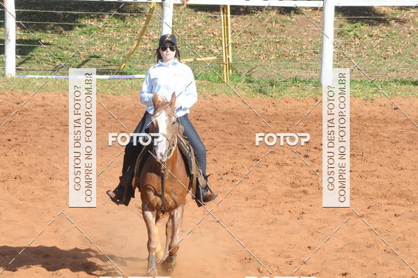 Buy your photos of the eventTEAM PENNING  GRANDE FINAL CAMARU on Fotop