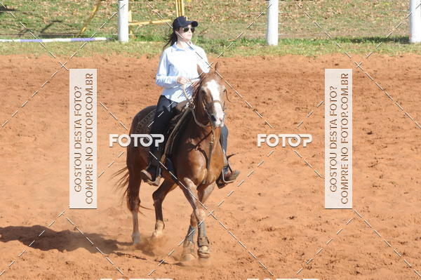 Buy your photos of the eventTEAM PENNING  GRANDE FINAL CAMARU on Fotop