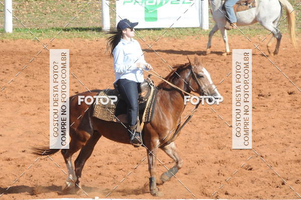 Buy your photos of the eventTEAM PENNING  GRANDE FINAL CAMARU on Fotop