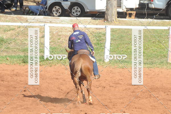 Buy your photos of the eventTEAM PENNING  GRANDE FINAL CAMARU on Fotop