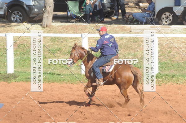 Buy your photos of the eventTEAM PENNING  GRANDE FINAL CAMARU on Fotop