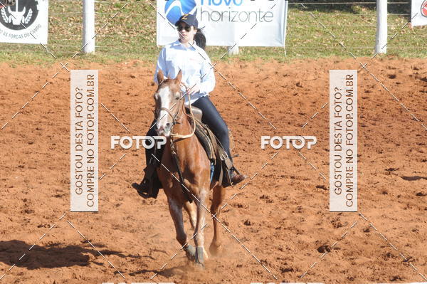 Buy your photos of the eventTEAM PENNING  GRANDE FINAL CAMARU on Fotop