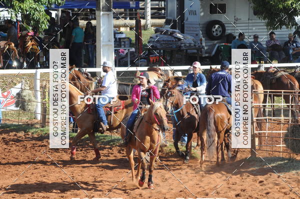 Buy your photos of the eventTEAM PENNING  GRANDE FINAL CAMARU on Fotop