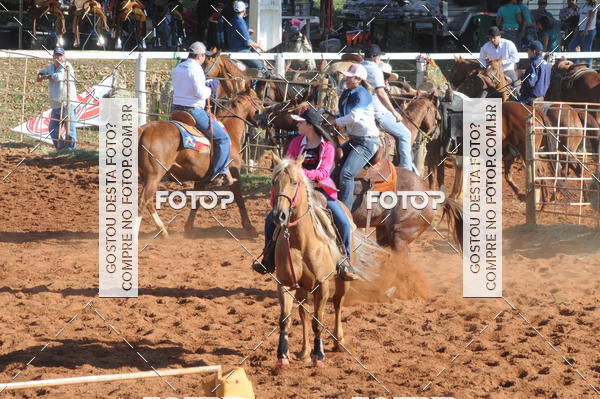 Buy your photos of the eventTEAM PENNING  GRANDE FINAL CAMARU on Fotop