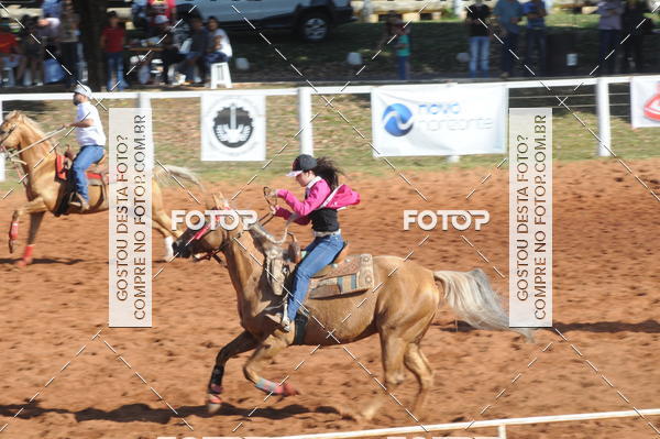 Buy your photos of the eventTEAM PENNING  GRANDE FINAL CAMARU on Fotop