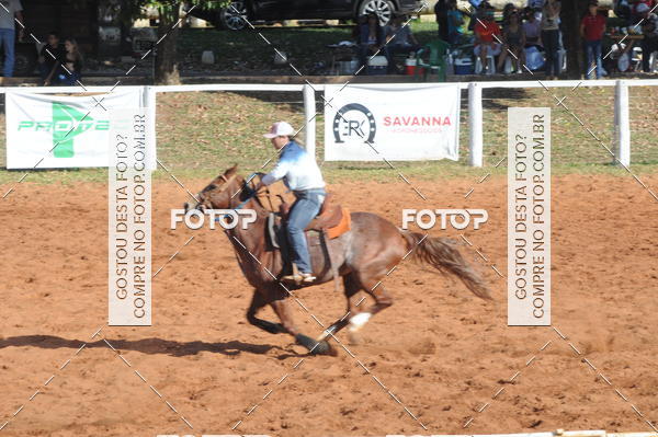 Buy your photos of the eventTEAM PENNING  GRANDE FINAL CAMARU on Fotop