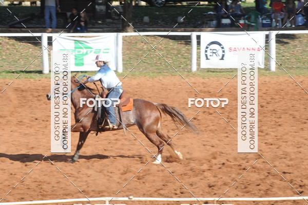 Buy your photos of the eventTEAM PENNING  GRANDE FINAL CAMARU on Fotop