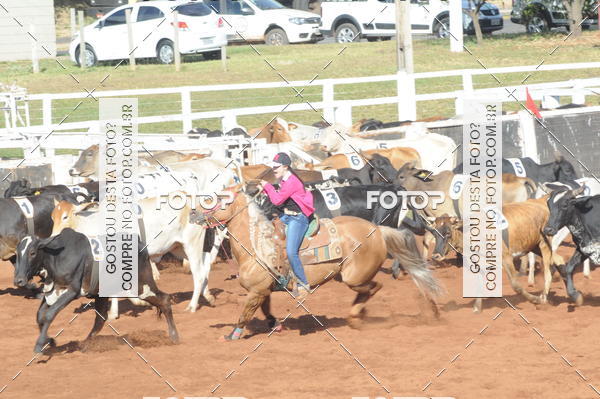 Buy your photos of the eventTEAM PENNING  GRANDE FINAL CAMARU on Fotop