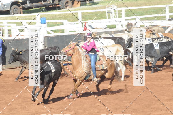 Buy your photos of the eventTEAM PENNING  GRANDE FINAL CAMARU on Fotop