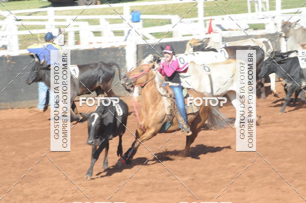 Buy your photos of the eventTEAM PENNING  GRANDE FINAL CAMARU on Fotop
