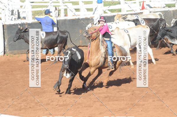 Buy your photos of the eventTEAM PENNING  GRANDE FINAL CAMARU on Fotop