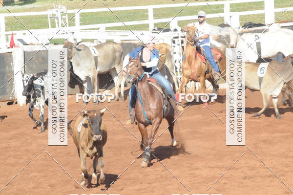 Buy your photos of the eventTEAM PENNING  GRANDE FINAL CAMARU on Fotop