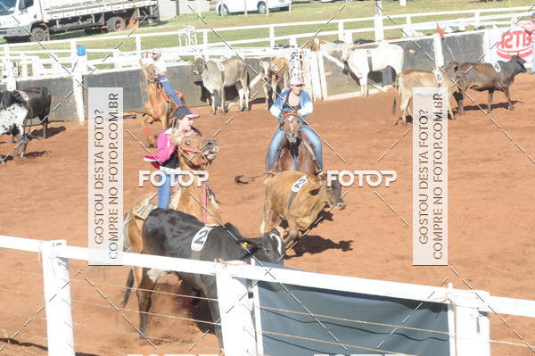 Buy your photos of the eventTEAM PENNING  GRANDE FINAL CAMARU on Fotop
