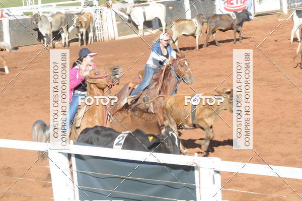 Buy your photos of the eventTEAM PENNING  GRANDE FINAL CAMARU on Fotop