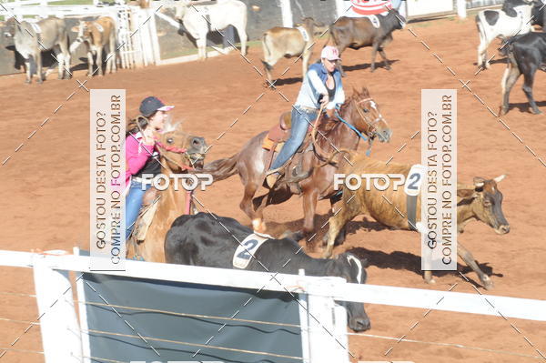 Buy your photos of the eventTEAM PENNING  GRANDE FINAL CAMARU on Fotop