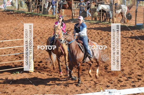 Buy your photos of the eventTEAM PENNING  GRANDE FINAL CAMARU on Fotop