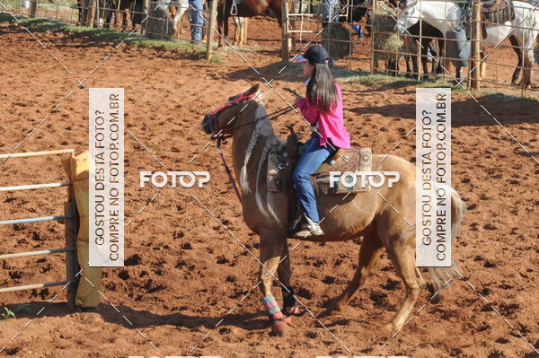 Buy your photos of the eventTEAM PENNING  GRANDE FINAL CAMARU on Fotop