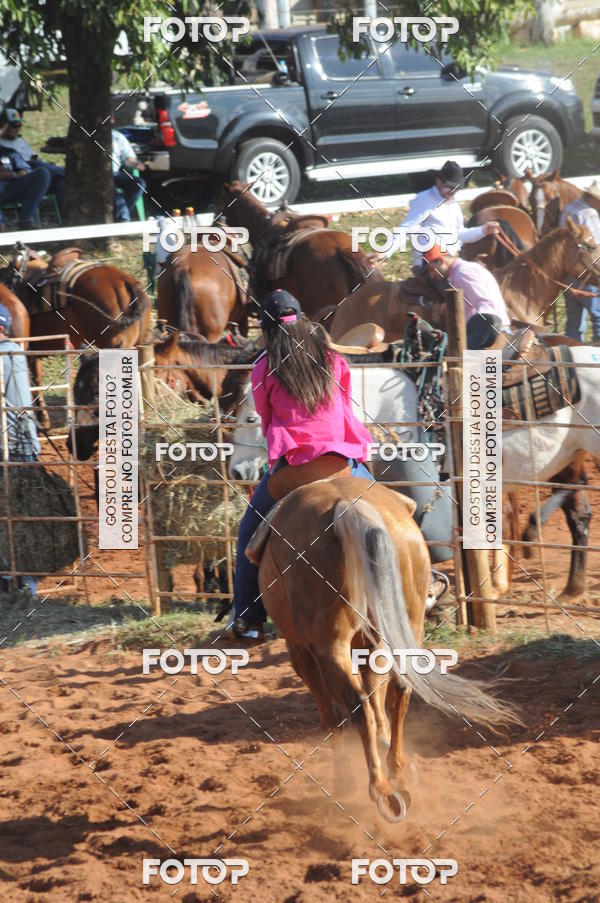 Buy your photos of the eventTEAM PENNING  GRANDE FINAL CAMARU on Fotop