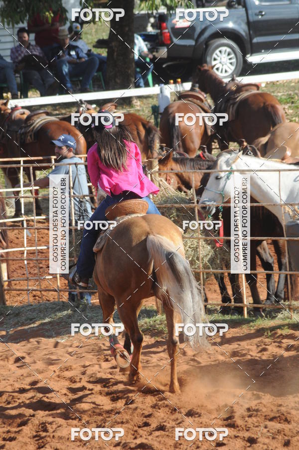 Buy your photos of the eventTEAM PENNING  GRANDE FINAL CAMARU on Fotop