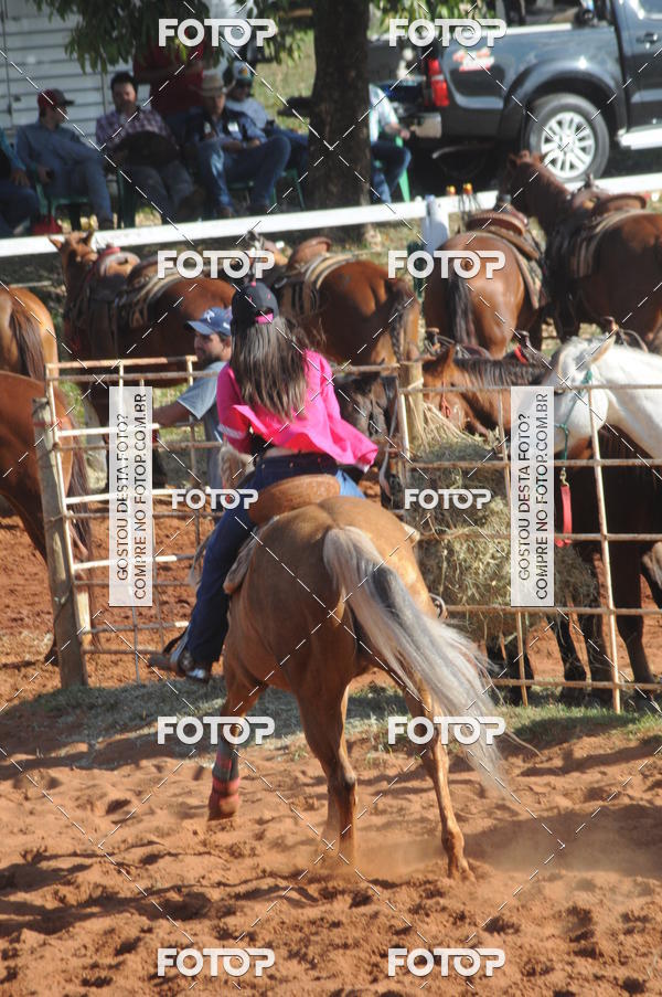 Buy your photos of the eventTEAM PENNING  GRANDE FINAL CAMARU on Fotop