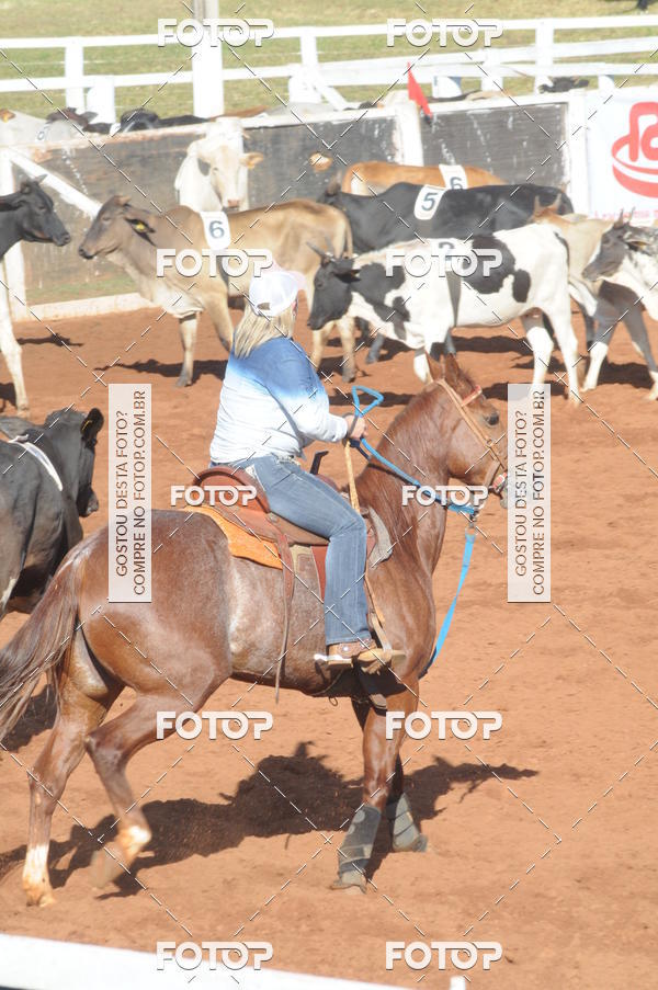 Buy your photos of the eventTEAM PENNING  GRANDE FINAL CAMARU on Fotop