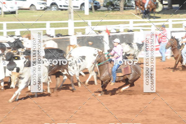 Buy your photos of the eventTEAM PENNING  GRANDE FINAL CAMARU on Fotop