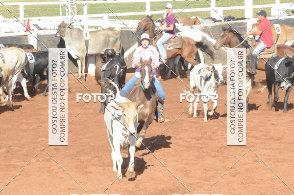 Buy your photos of the eventTEAM PENNING  GRANDE FINAL CAMARU on Fotop
