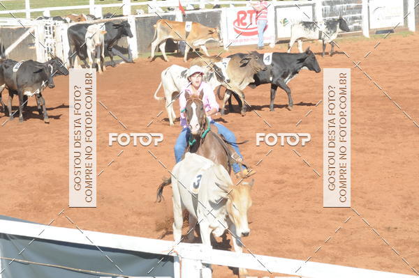 Buy your photos of the eventTEAM PENNING  GRANDE FINAL CAMARU on Fotop