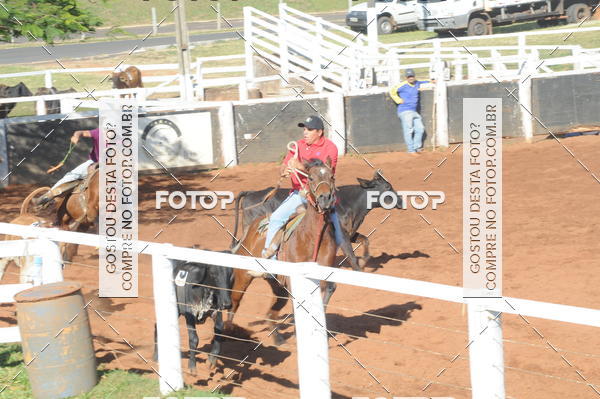 Buy your photos of the eventTEAM PENNING  GRANDE FINAL CAMARU on Fotop
