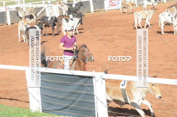 Buy your photos of the eventTEAM PENNING  GRANDE FINAL CAMARU on Fotop