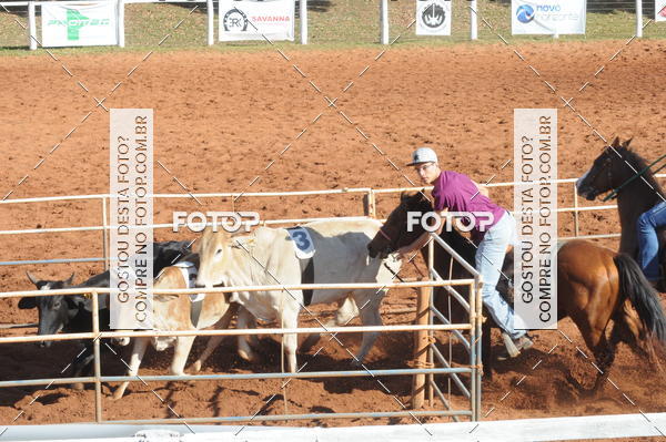 Buy your photos of the eventTEAM PENNING  GRANDE FINAL CAMARU on Fotop