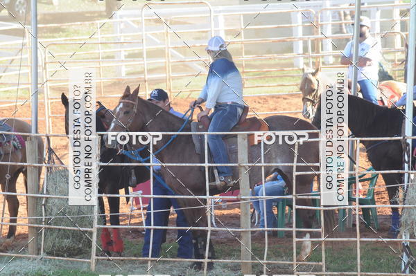 Buy your photos of the eventTEAM PENNING  GRANDE FINAL CAMARU on Fotop