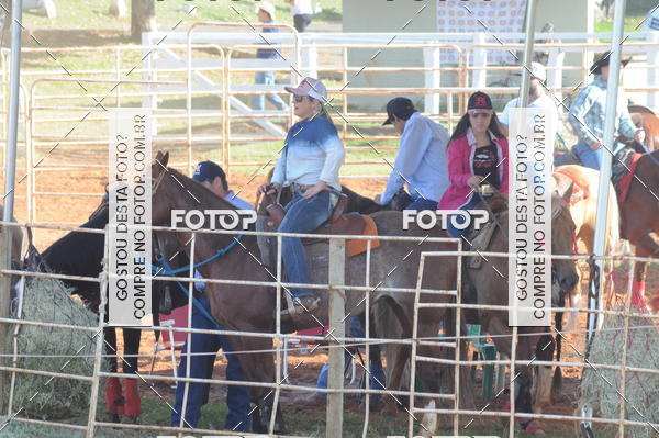 Buy your photos of the eventTEAM PENNING  GRANDE FINAL CAMARU on Fotop