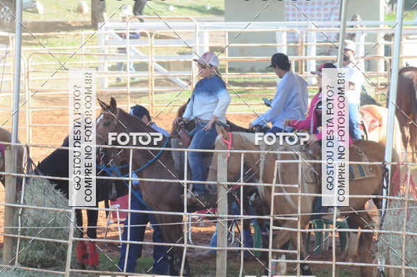 Buy your photos of the eventTEAM PENNING  GRANDE FINAL CAMARU on Fotop