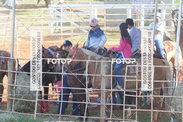 Buy your photos of the eventTEAM PENNING  GRANDE FINAL CAMARU on Fotop
