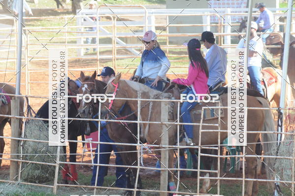 Buy your photos of the eventTEAM PENNING  GRANDE FINAL CAMARU on Fotop