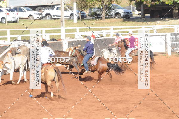 Buy your photos of the eventTEAM PENNING  GRANDE FINAL CAMARU on Fotop