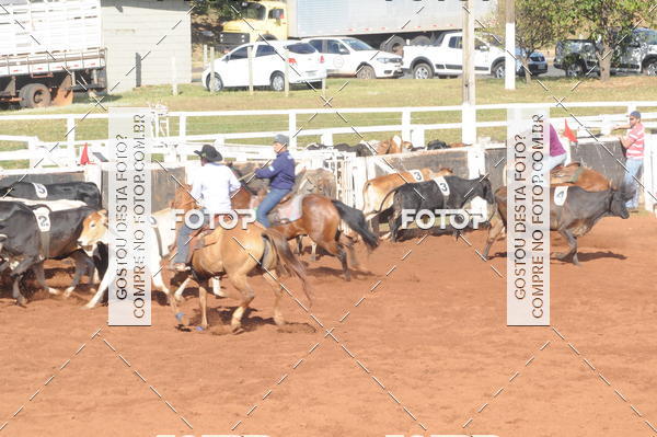 Buy your photos of the eventTEAM PENNING  GRANDE FINAL CAMARU on Fotop