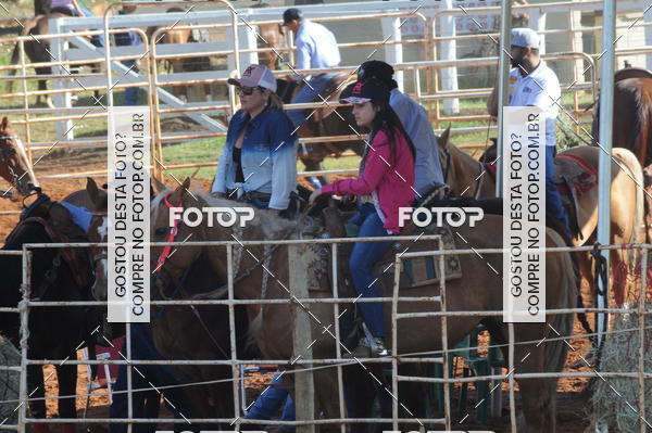 Buy your photos of the eventTEAM PENNING  GRANDE FINAL CAMARU on Fotop