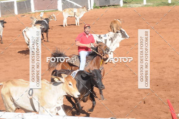 Buy your photos of the eventTEAM PENNING  GRANDE FINAL CAMARU on Fotop