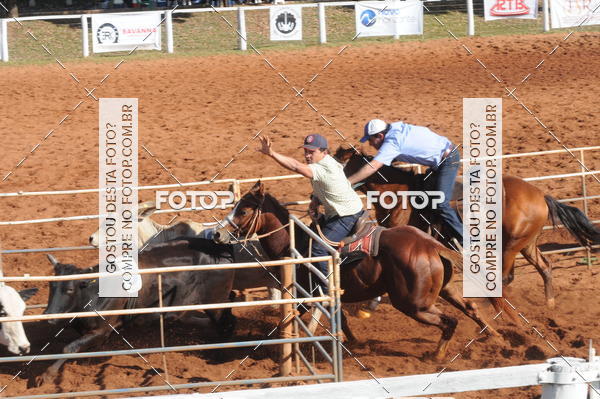 Buy your photos of the eventTEAM PENNING  GRANDE FINAL CAMARU on Fotop