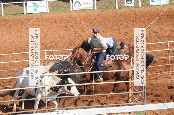 Buy your photos of the eventTEAM PENNING  GRANDE FINAL CAMARU on Fotop