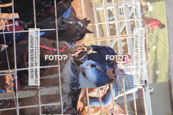 Buy your photos of the eventTEAM PENNING  GRANDE FINAL CAMARU on Fotop