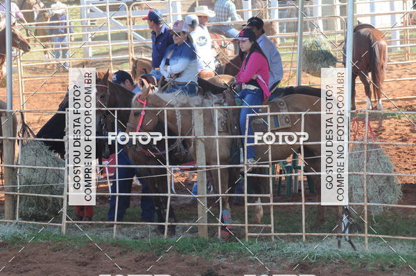 Buy your photos of the eventTEAM PENNING  GRANDE FINAL CAMARU on Fotop