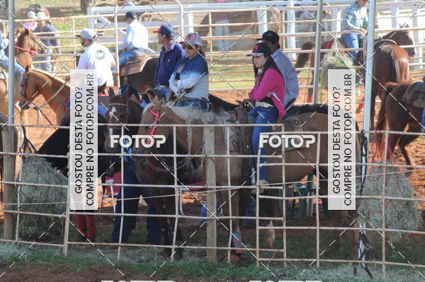 Buy your photos of the eventTEAM PENNING  GRANDE FINAL CAMARU on Fotop