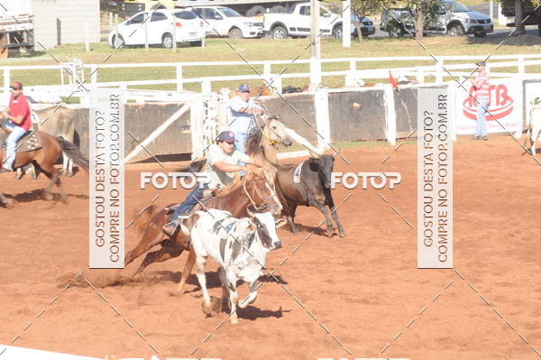Buy your photos of the eventTEAM PENNING  GRANDE FINAL CAMARU on Fotop