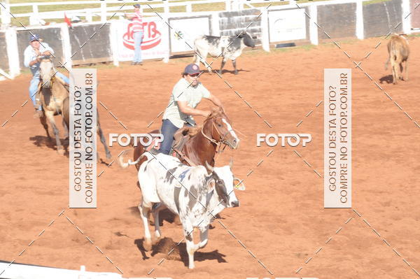Buy your photos of the eventTEAM PENNING  GRANDE FINAL CAMARU on Fotop