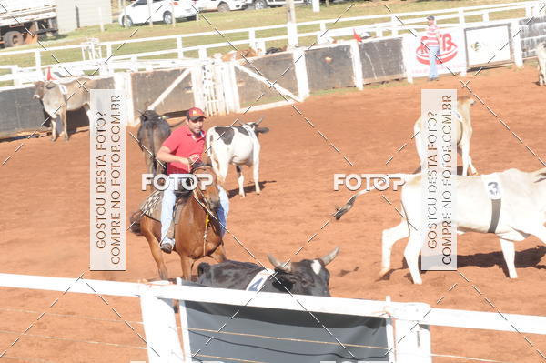 Buy your photos of the eventTEAM PENNING  GRANDE FINAL CAMARU on Fotop