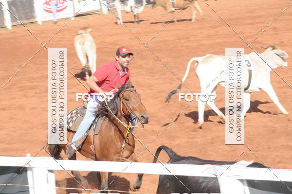 Buy your photos of the eventTEAM PENNING  GRANDE FINAL CAMARU on Fotop